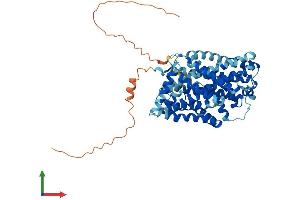 AlphaFold protein structure predicition of Human Recombinant SLC7A8 Protein, UniprotID Q9UHI5