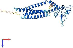 Tetraspanin 17 (TSPAN17) (AA 1-270) protein (His tag)