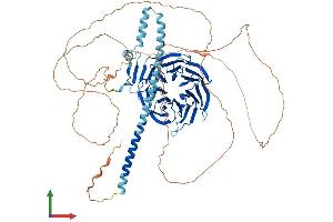 AlphaFold protein structure predicition of Human Recombinant TLE1 Protein, UniprotID Q04724 (TLE1 Protein (AA 1-770) (His tag))
