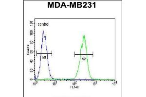 Flow cytometric analysis of MDA-MB231 cells (right histogram) compared to a negative control cell (left histogram). (CRHR2 antibody  (AA 243-272))