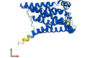 AlphaFold protein structure predicition of Human Recombinant ELOVL6 Protein, UniprotID Q9H5J4 (ELOVL6 Protein (AA 1-265) (His tag))