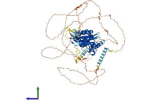 AlphaFold protein structure predicition of Mouse Recombinant Sim1 Protein, UniprotID Q61045 (SIM1 Protein (AA 1-765) (His tag))