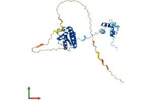 Protein Structure (PS) image for Excision Repair Cross Complementing Polypeptide-1 (ERCC1) (AA 1-298) protein (His tag) (ABIN7562756)