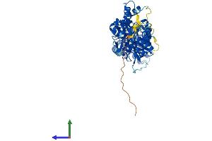 AlphaFold protein structure predicition of Mouse Recombinant Mdh1b Protein, UniprotID Q5F204