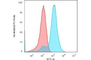 Flow Cytometric Analysis of MeOH-fixed HepG2 cells using Glypican-3 Rabbit Recombinant Monoclonal Antibody (GPC3/1534R) followed by Goat anti-rabbit- IgG-CF488 (Blue); Isotype Control (Red). (Glypican 3 antibody)