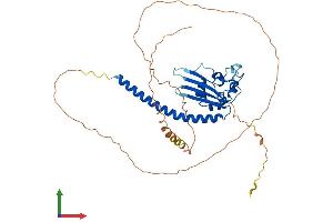 AlphaFold protein structure predicition of Mouse Recombinant Tspyl4 Protein, UniprotID Q8VD63 (TSPY-Like 4 Protein (TSPYL4) (AA 1-406) (His tag))