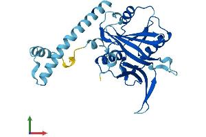 Protein Structure (PS) image for IMP4, U3 Small Nucleolar Ribonucleoprotein (IMP4) (AA 1-291) protein (His tag) (ABIN7559941)