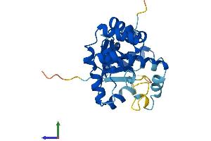 AlphaFold protein structure predicition of Mouse Recombinant Kcnab3 Protein, UniprotID P97382