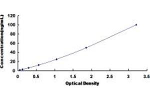 ASS1 ELISA Kit