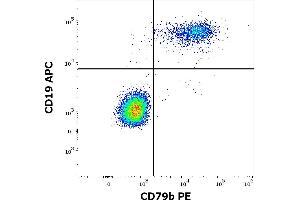 Flow cytometry multicolor surface staining of human lymphocytes stained using anti-human CD79b (CB3-1) PE antibody (10 μL reagent / 100 μL of peripheral whole blood) and anti-human CD19 (LT19) APC antibody (10 μL reagent / 100 μL of peripheral whole blood). (CD79b antibody  (PE))