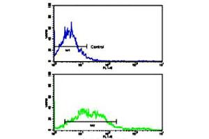 Flow cytometric analysis of NCI-H292 cells using EPHA2 polyclonal antibody (bottom histogram) compared to a negative control cell (top histogram).
