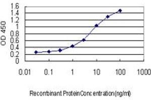 Detection limit for recombinant GST tagged AEBP1 is approximately 0. (AEBP1 antibody  (AA 912-1013))