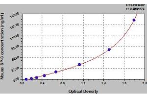 Typical Standard Curve (Surfactant Protein C ELISA Kit)