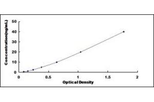 Typical standard curve