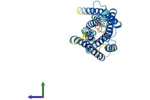 AlphaFold protein structure predicition of Mouse Recombinant Mrgprg Protein, UniprotID Q91ZB5 (Mrgprg Protein (AA 1-289) (His tag))