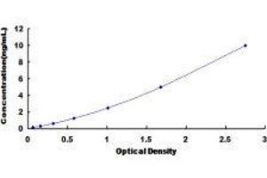 Cyclin-Dependent Kinase Inhibitor 3 (CDKN3) ELISA Kit