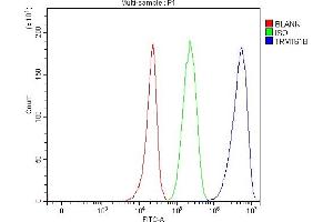Flow Cytometry analysis of 293T cells using anti-TRMT61B antibody (ABIN7602334). (TRMT61B antibody  (AA 7-477))