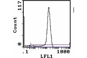 Tissue Distribution by Flow Cytometry Analysis: (CD8 antibody  (FITC))