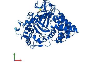 AlphaFold protein structure predicition of Mouse Recombinant Smyd3 Protein, UniprotID Q9CWR2 (SMYD3 Protein (AA 1-428) (His tag))