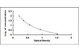 ELISA image for Luteinizing Hormone (LH) ELISA Kit (ABIN414314)