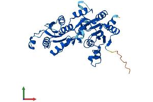 AlphaFold protein structure predicition of Human Recombinant PGP Protein, UniprotID A6NDG6