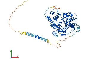 AlphaFold protein structure predicition of Human Recombinant B3GNT4 Protein, UniprotID Q9C0J1 (B3GNT4 Protein (AA 1-378) (His tag))