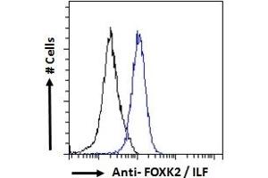 ABIN185049 Flow cytometric analysis of paraformaldehyde fixed HeLa cells (blue line), permeabilized with 0. (Forkhead Box K2 antibody  (C-Term))