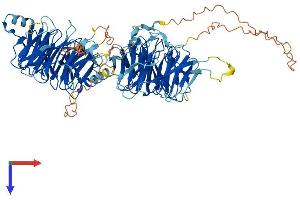 AlphaFold protein structure predicition of Human Recombinant WDR27 Protein, UniprotID A2RRH5