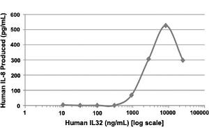 Human PBMCs were cultured with 0 to 1000 ng/mL human IL32 in serum free media. (IL32 Protein)
