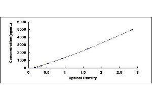 s100a4 ELISA Kit