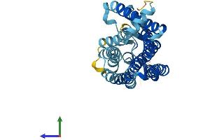 AlphaFold protein structure predicition of Human Recombinant OR10J5 Protein, UniprotID Q8NHC4 (OR10J5 Protein (AA 1-309) (His tag))