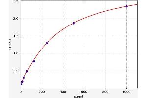 FGF22 ELISA Kit