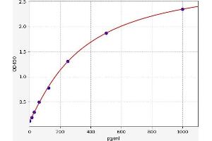 Typical standard curve (FGF22 ELISA Kit)