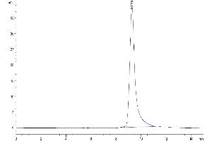 The purity of Mouse ANGPTL4 is greater than 95 % as determined by SEC-HPLC. (ANGPTL4 Protein (AA 168-410) (His tag))