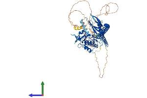 AlphaFold protein structure predicition of Mouse Recombinant Tlk1 Protein, UniprotID Q8C0V0 (TLK1 Protein (AA 1-766) (His tag))
