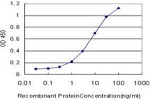 Detection limit for recombinant GST tagged CDK4 is approximately 0. (CDK4 antibody  (AA 211-303))