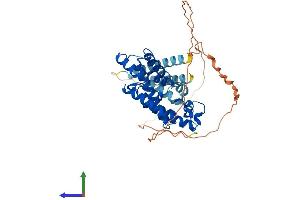 AlphaFold protein structure predicition of Human Recombinant PLEKHA8P1 Protein, UniprotID O95397