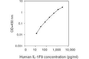 ELISA image for Interleukin 1 Family Member 9 (IL1F9) ELISA Kit (ABIN2703199) (IL1F9 ELISA Kit)