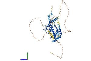 Protein Structure (PS) image for E3 ubiquitin-protein ligase RAD18 (RAD18) (AA 1-495) protein (His tag) (ABIN7551159)