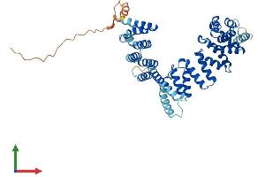 Protein Structure (PS) image for TATA Box Binding Protein (TBP)-Associated Factor, RNA Polymerase I, A, 48kDa (TAF1A) (AA 1-450) protein (His tag) (ABIN7544226)