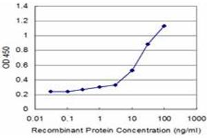 Detection limit for recombinant GST tagged VEGF is approximately 0. (VEGFA antibody  (AA 27-130))