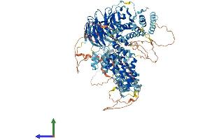 AlphaFold protein structure predicition of Mouse Recombinant Hps5 Protein, UniprotID P59438 (HPS5 Protein (AA 1-1126) (His tag))