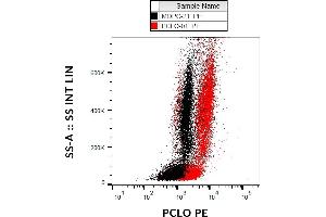 Flow cytometry analysis (intracellular staining) of PCLO in human peripheral blood using mouse monoclonal (PCLO-01) PE.