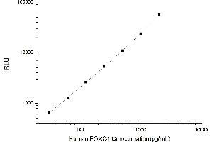 Typical standard curve (FOXC1 CLIA Kit)