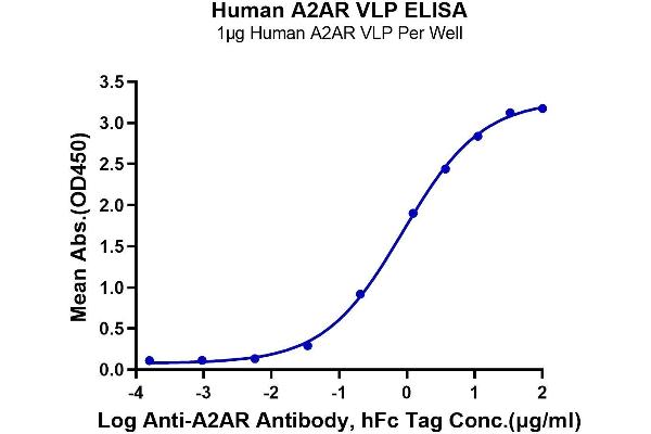 Adenosine A2a Receptor Protein-VLP (ADORA2A) (AA 1-412)