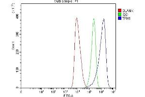Flow Cytometry analysis of HEL cells using anti-Tryptophan Hydroxylase/TPH1 antibody (ABIN7601556). (Tryptophan Hydroxylase 1 antibody  (AA 383-444))