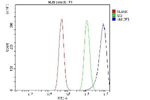 Flow Cytometry analysis of A431 cells using anti- NMI antibody (ABIN6719489). (NMI antibody  (AA 2-307))