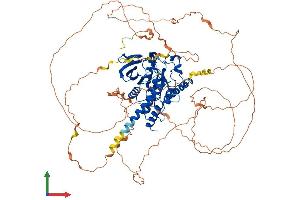 AlphaFold protein structure predicition of Human Recombinant PTPN12 Protein, UniprotID Q05209 (PTPN12 Protein (AA 1-780) (His tag))