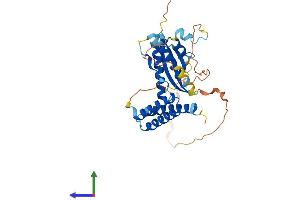 Protein Structure (PS) image for Sorting Nexin 15 (SNX15) (AA 1-342) protein (His tag) (ABIN7546254)
