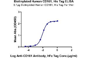 ELISA image for Killer Cell Lectin-Like Receptor Subfamily B, Member 1 (KLRB1) (AA 67-225) protein (His-Avi Tag,Biotin) (ABIN7274083)